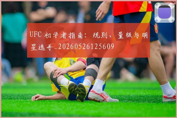 UFC 初学者指南:规则、量级与明星选手_20260526125609